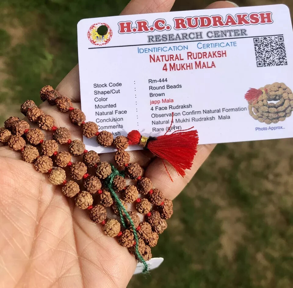 LAB CERTIFIED Rare 4 Mukhi RUDRAKSHA Rudraksh Mala ROSARY 108+1 Prayer Beads