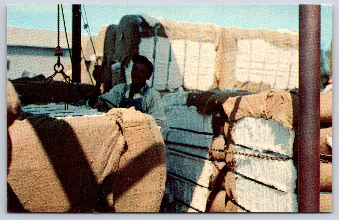 Vintage Agriculture Industry Cotton Bales Worker Loading 1950s