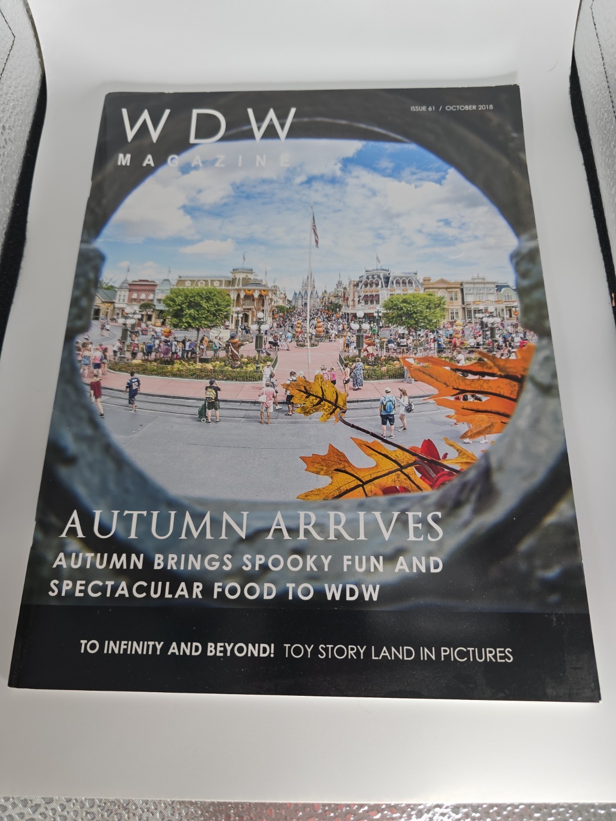 Disney WDW Magazine Issue 61 October 2018, Autumn Arrives 