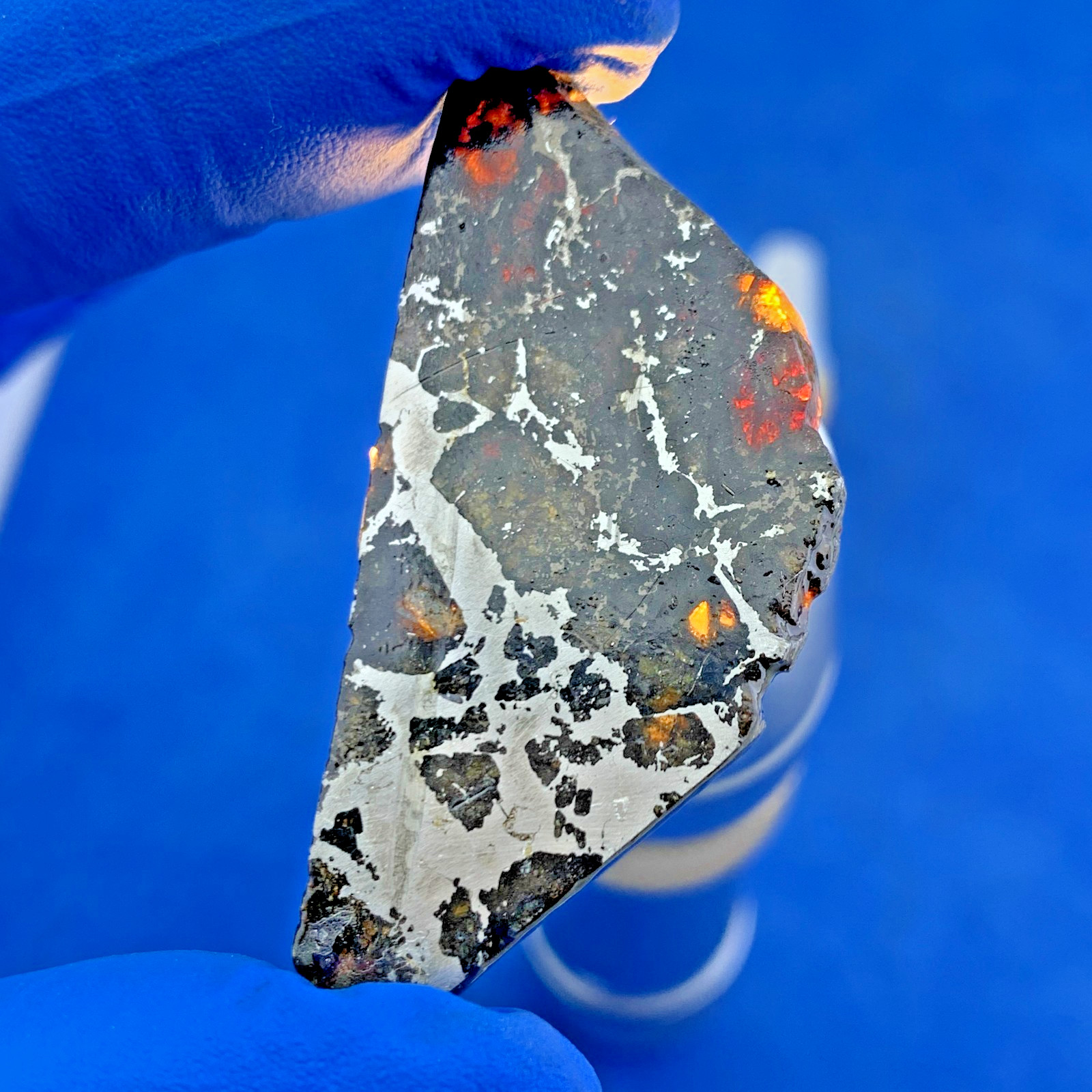 7.3gm Seymchan Pallasite iron meteorite specimen slab suit for DIY LZ074