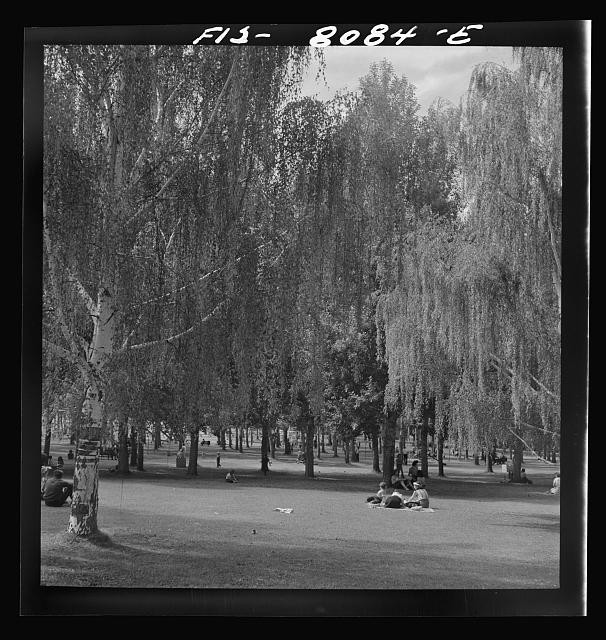 Photo:Butte Montana Columbia Gardens 1942 Park Trees Amusement Resort