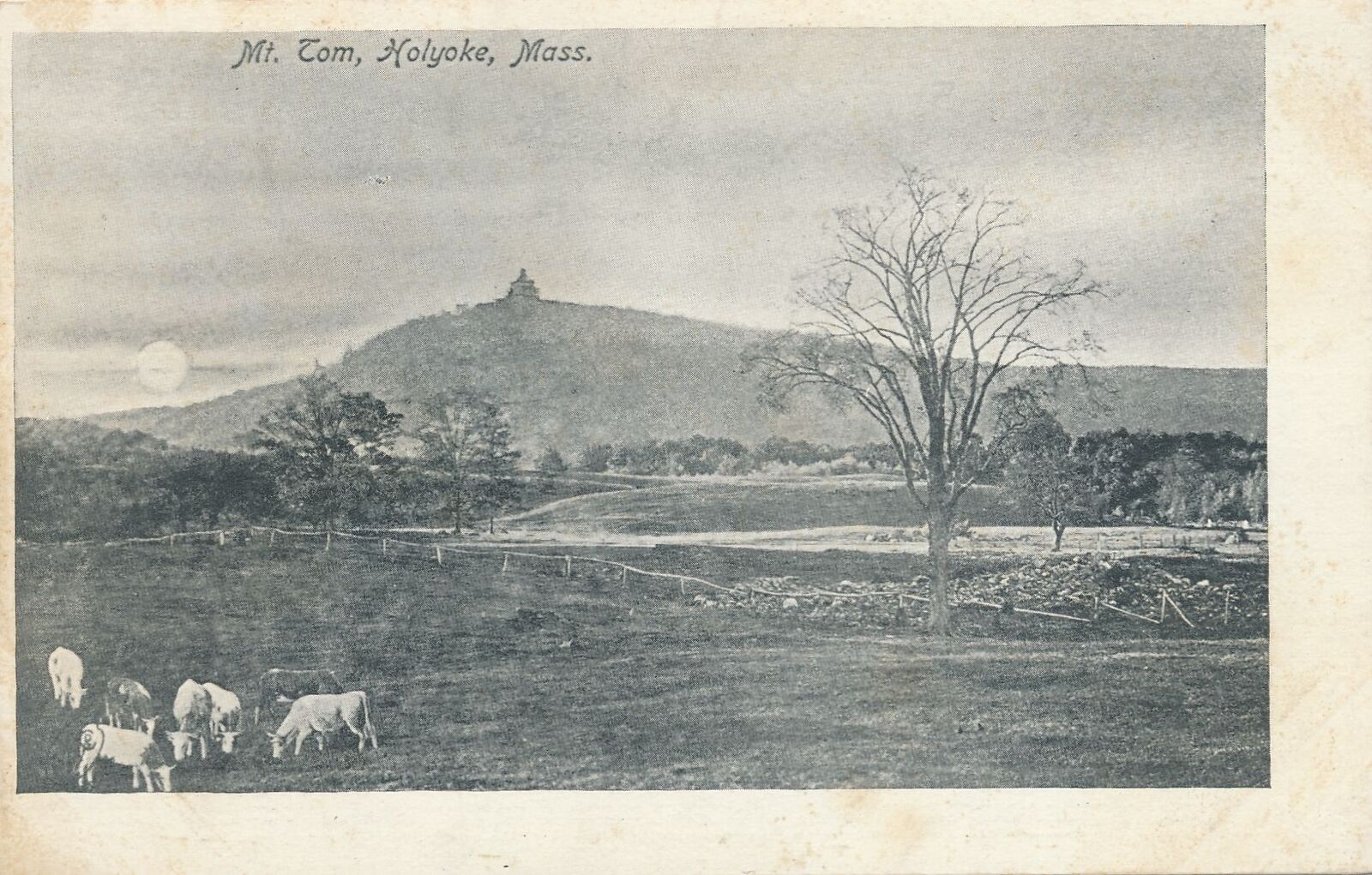 HOLYOKE MA - Mt. Tom showing Cows - udb (pre 1908)