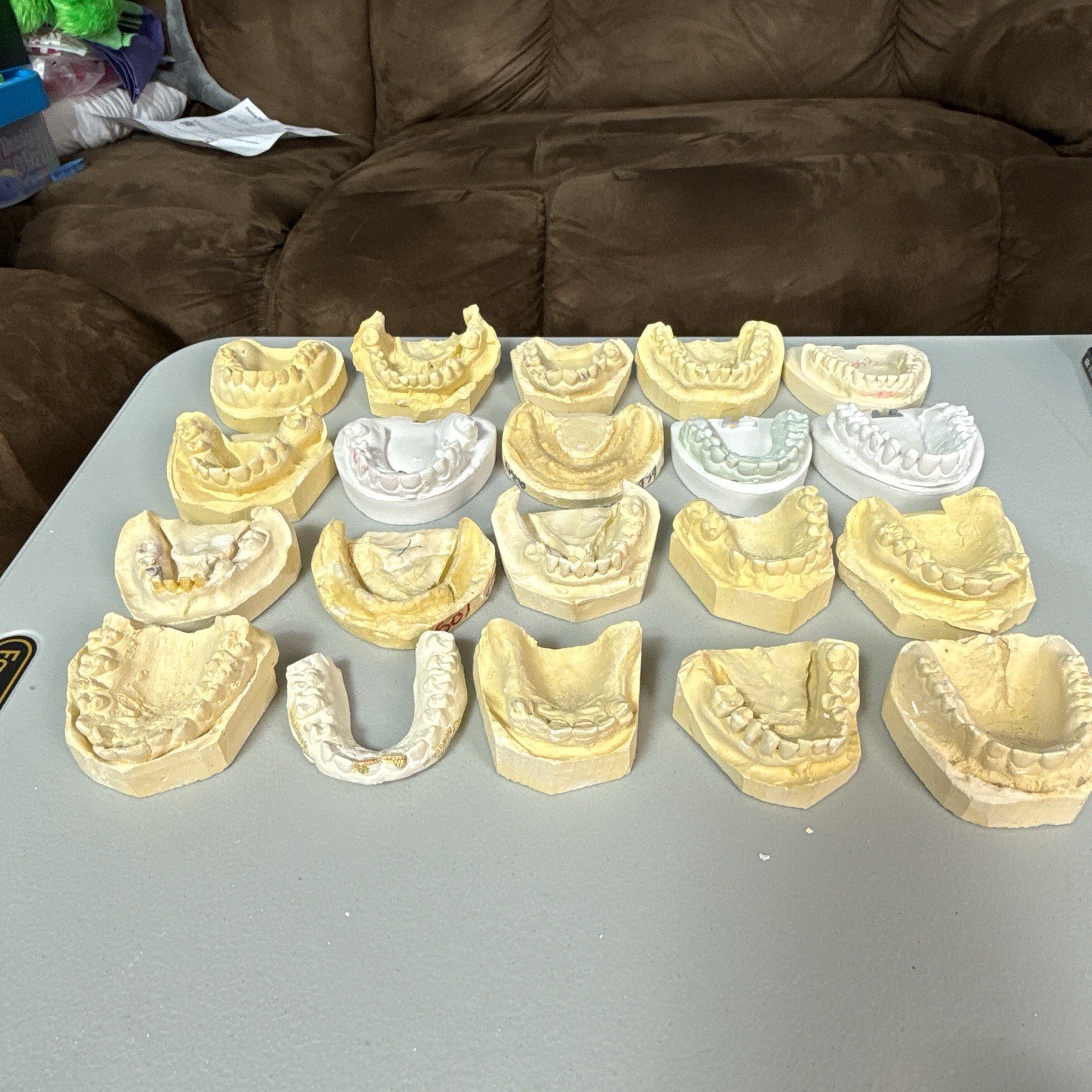 20 Dental Odd Plaster Real Tooth Teeth Molds Dentist Cast Impressions Vintage