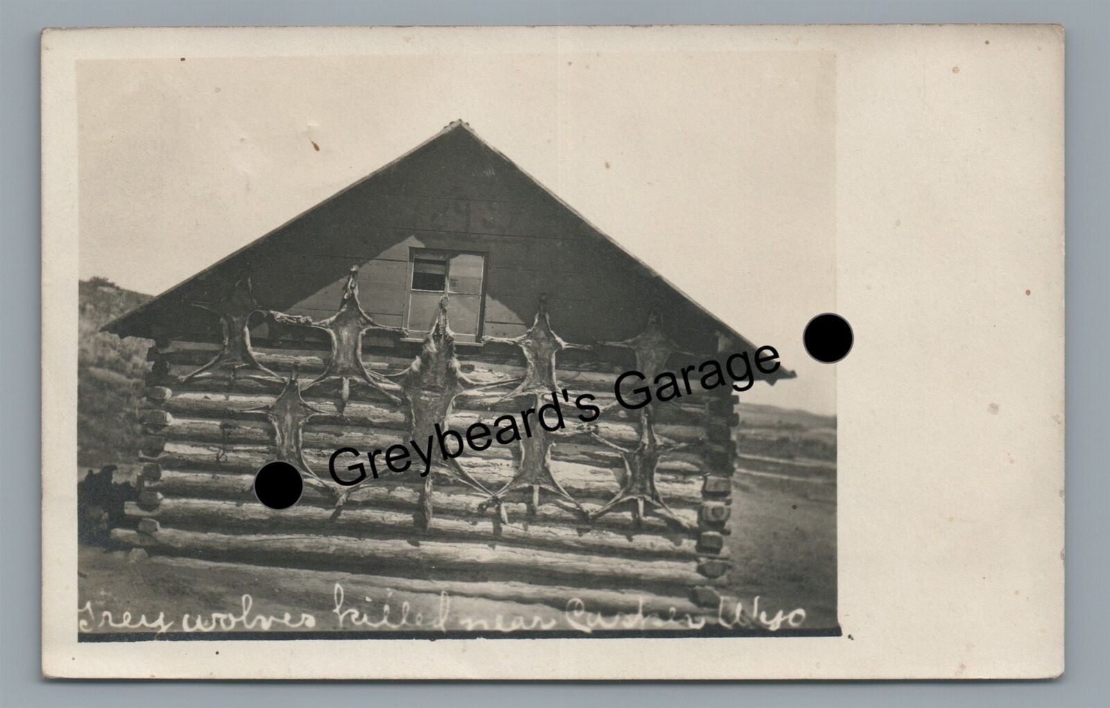 RPPC Hunting WOLVES Pelts on Cabin CASPER WY Wyoming Vintage Real Photo Postcard