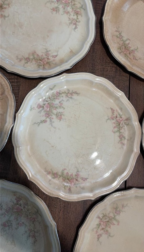 Vintage W. S. George Radisson Dinner Plates with Floral Design