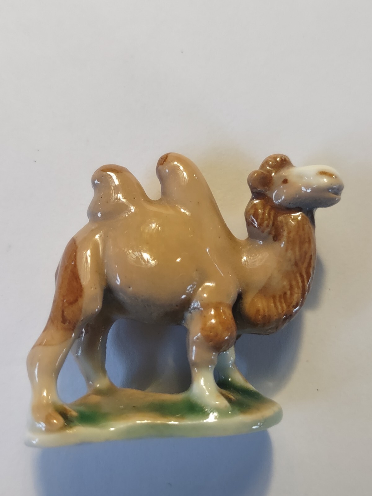Wade Camel
