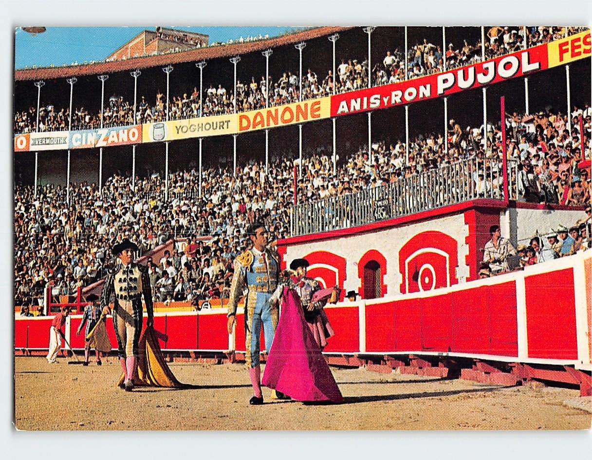 Bullfight Scene G-50516