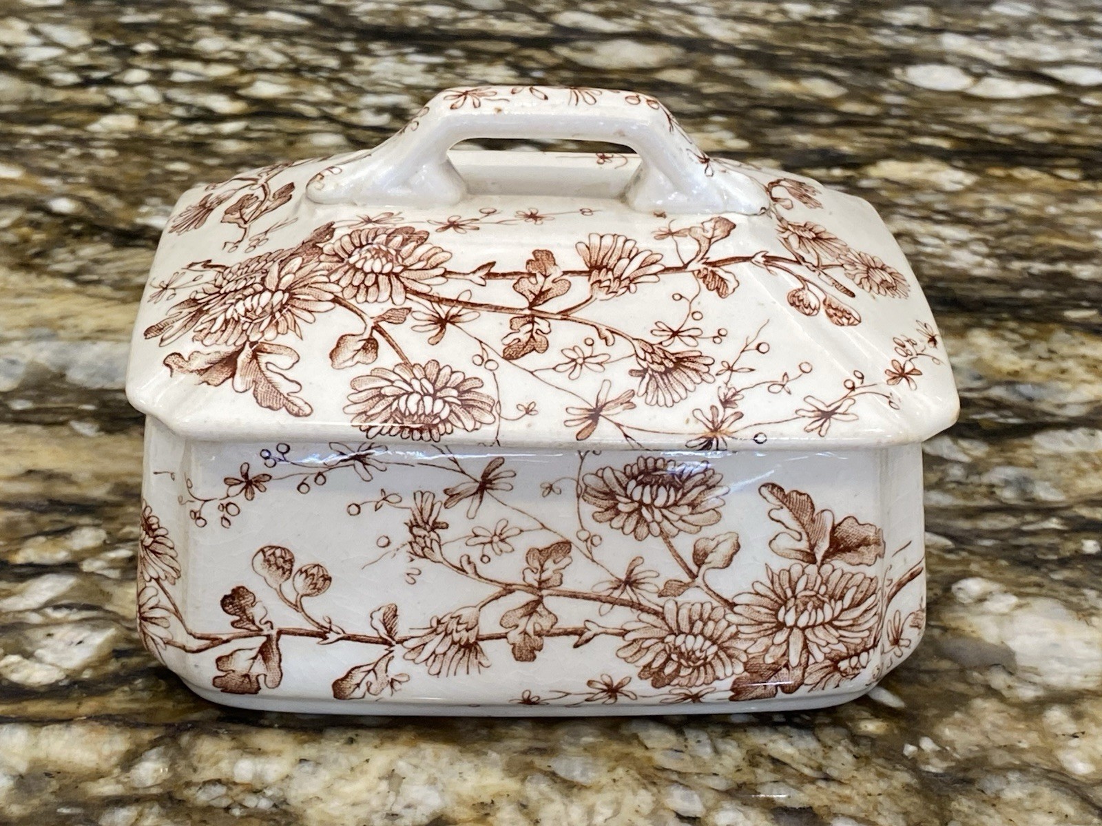 Antique Rare WH Grindley SPRING Rustic Soap Dish Brown Transferware England