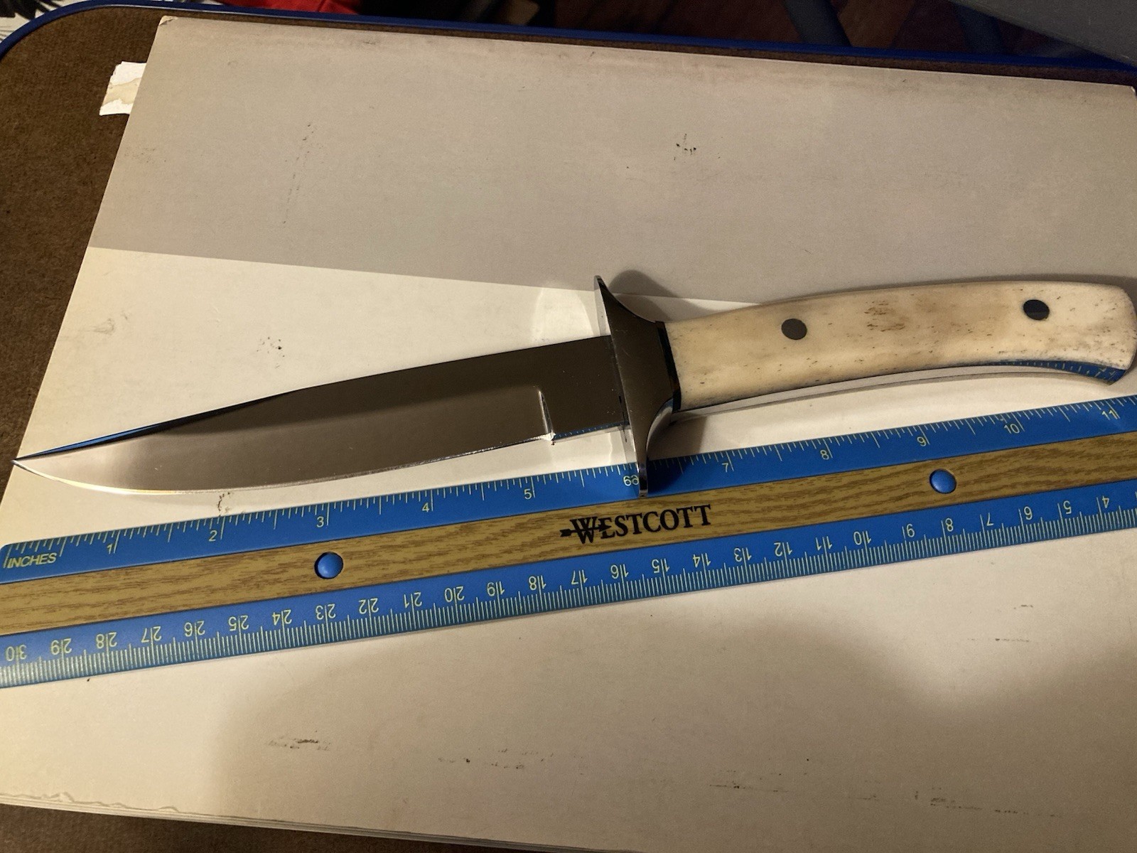 Heavy Duty Unbranded 6” Fixed Blade Knife Petrified Bone Handle Leather Sheath