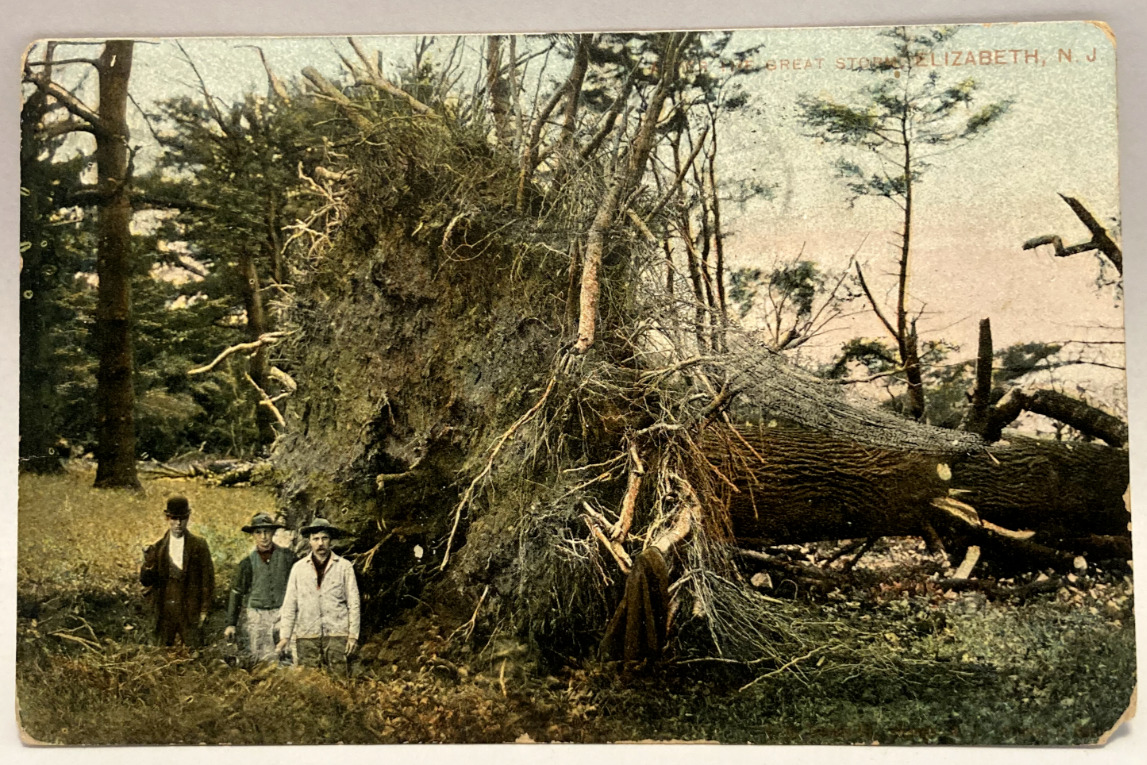 1908 The Great Storm, Elizabeth NJ, Storm Hurricane Damage Disaster Postcard