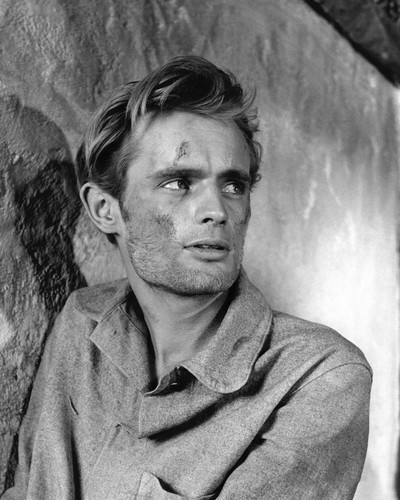 DAVID MCCALLUM PRINTS AND POSTERS 105858