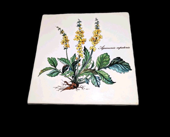 Vtg Villeroy & Boch Botanica Tile AGRIMONIA EUPATORIA Made in France 6x6 RARE A+