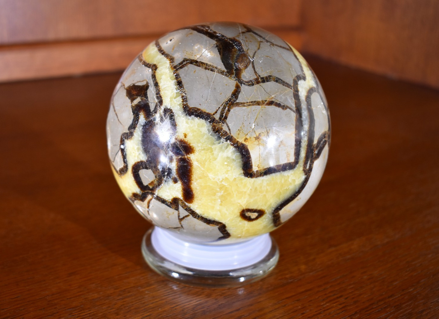 Large Dragon Septarian Sphere 3663 grams 137 mm