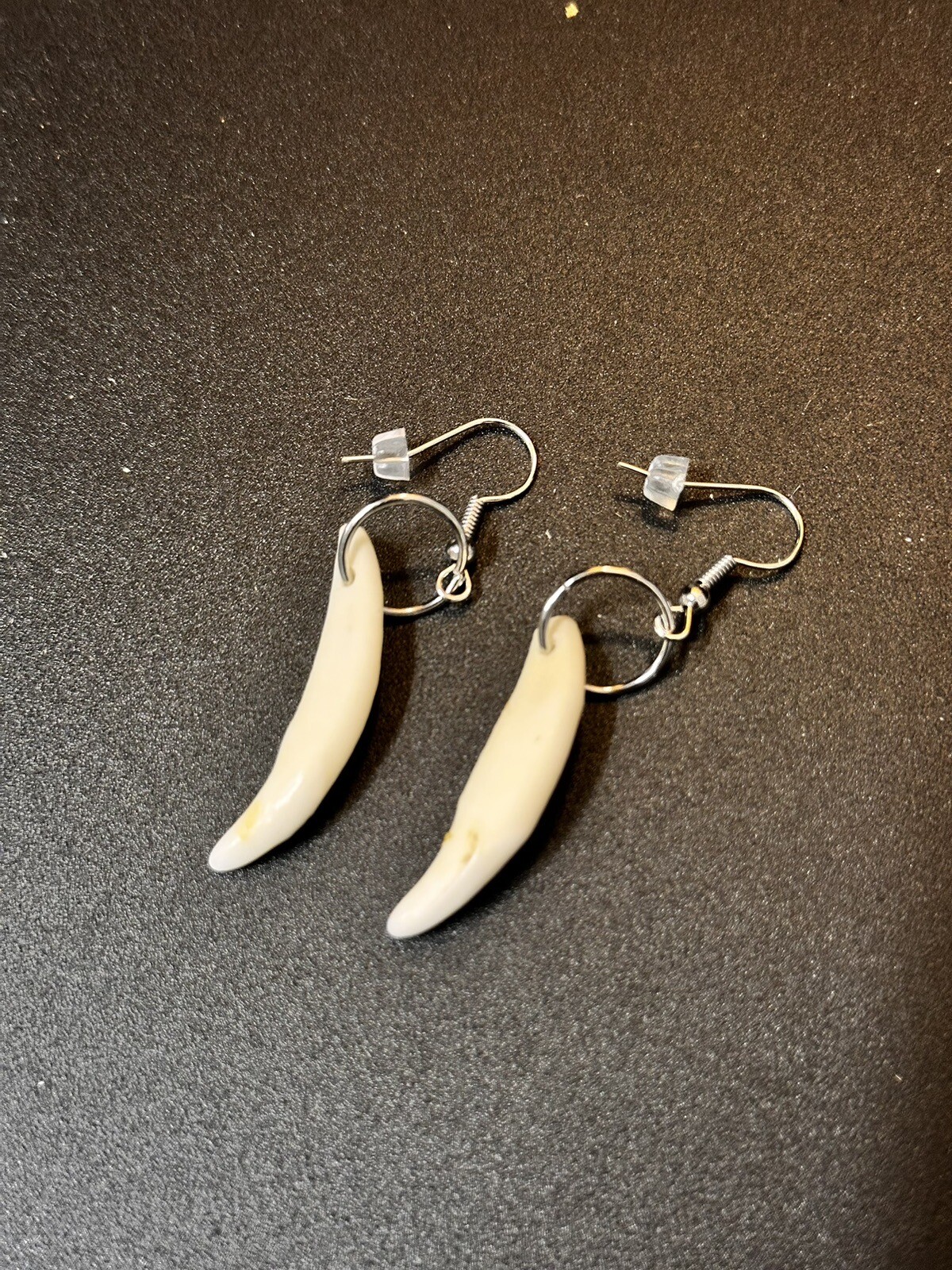 Coyote tooth earrings Native American Made