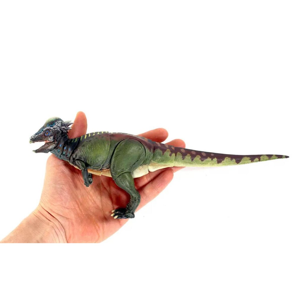 Pachycephalosaurus Action Dinosaur Animal Model Display 11in Length 01406