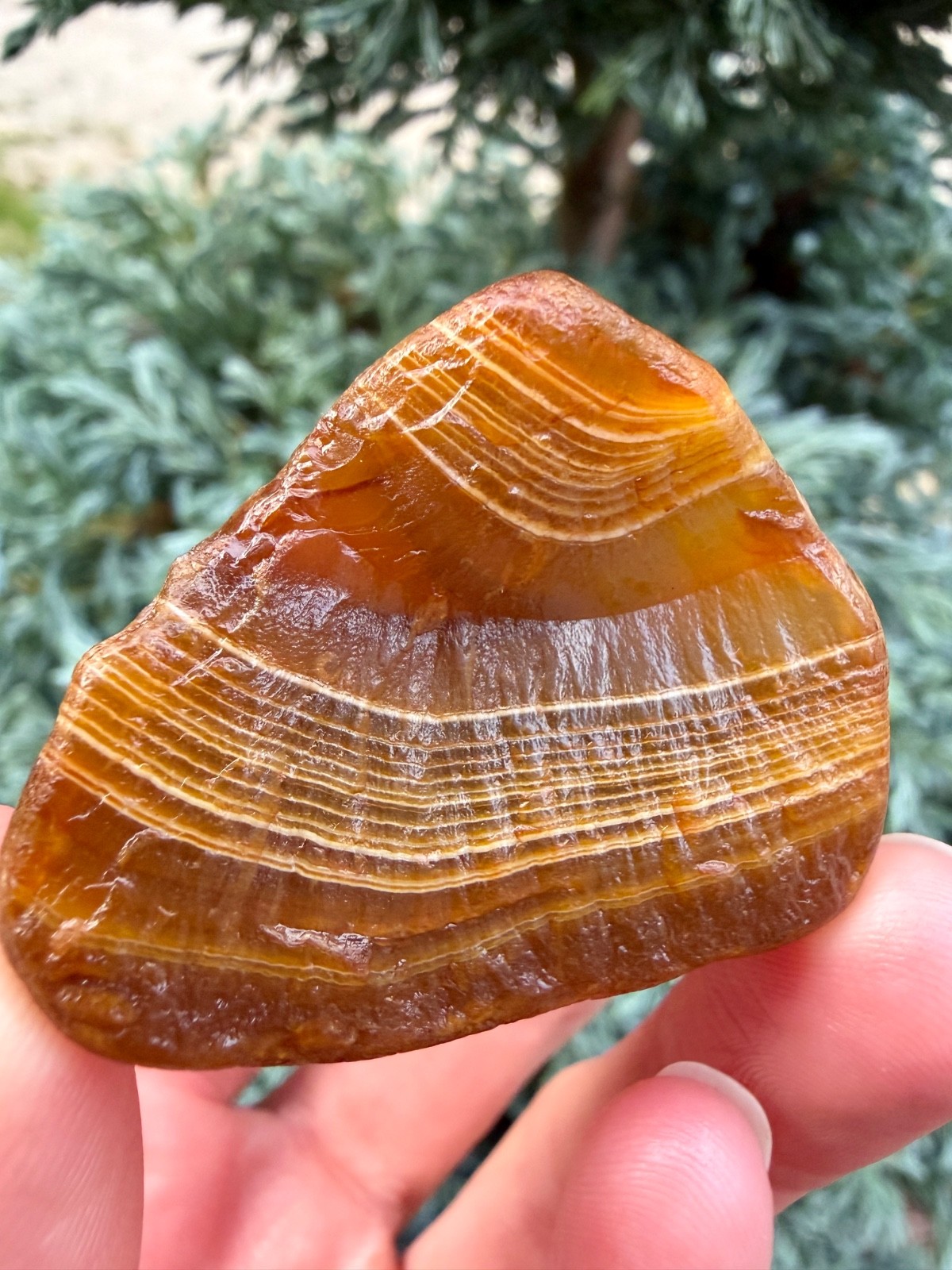 2.1 oz EUP Honey Lake Superior Agate - Micro-Banded Raw LSA Specimen (1.5\