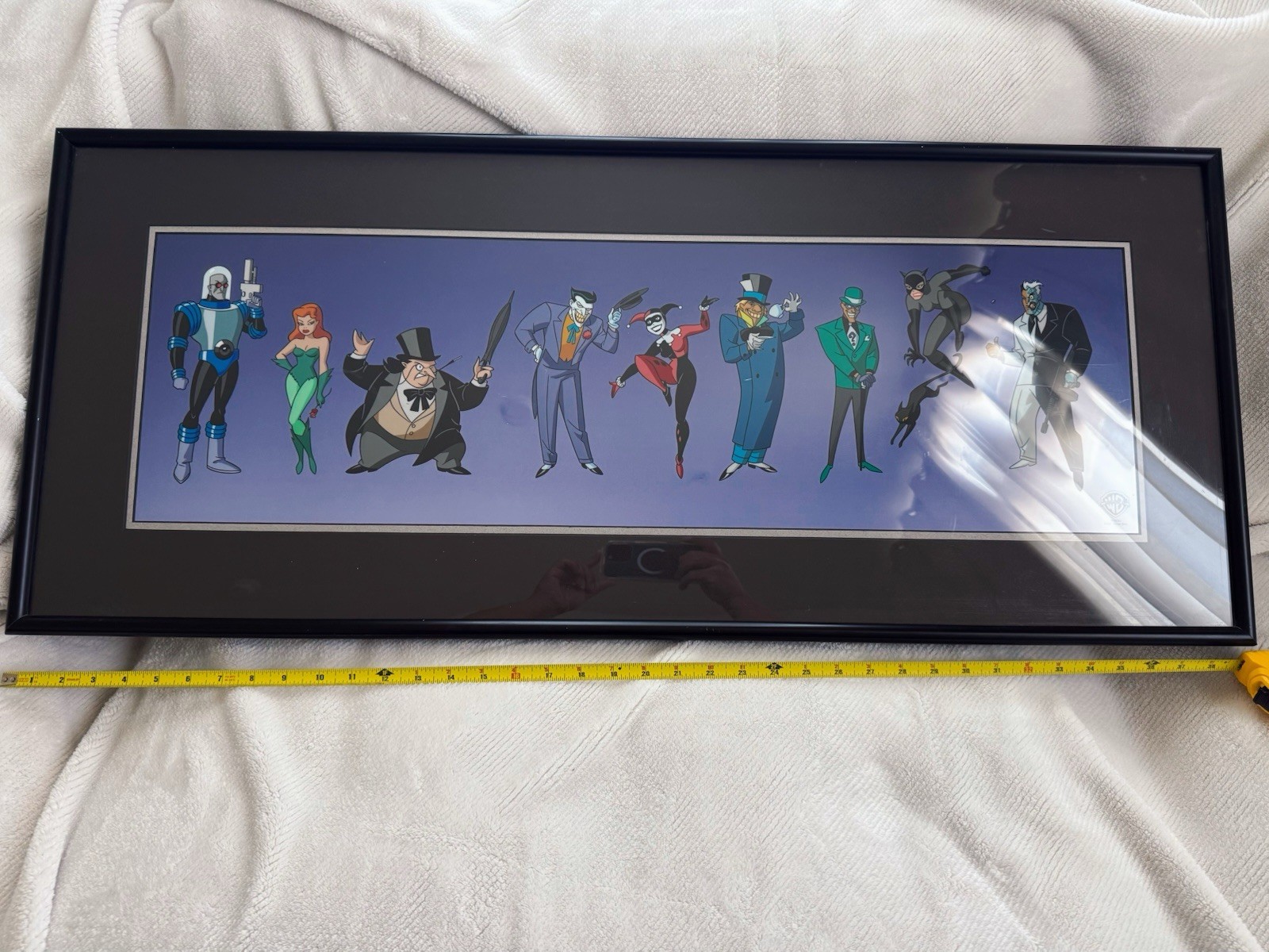 1994 Warner Bros Batman Villains of Gotham City Sericel #152/5000 Framed COA