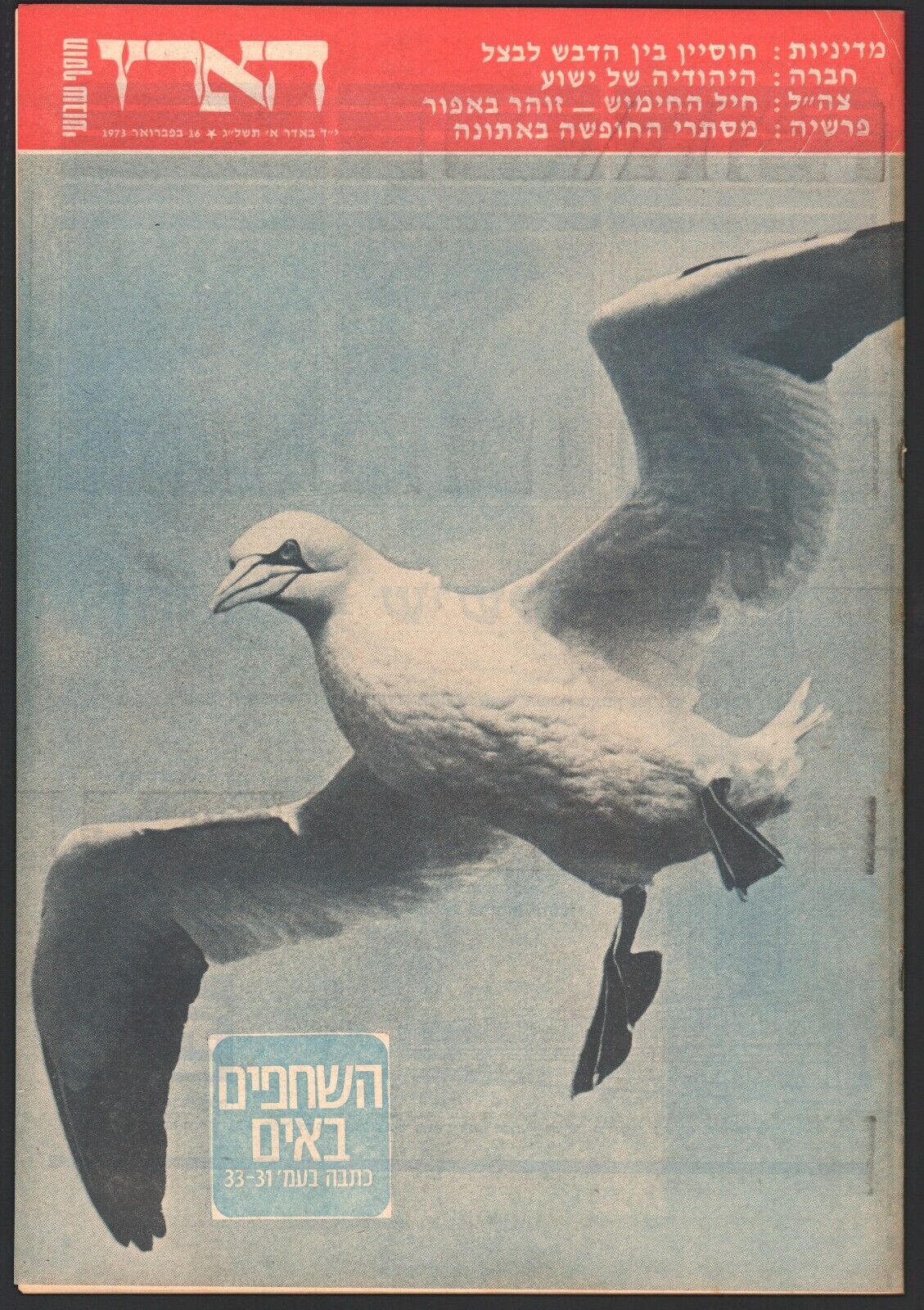 Jonathan Livingston Seagull on cover Israeli Newspaper \