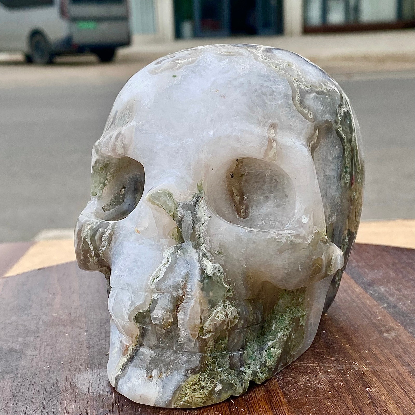 3.98LB   Beautiful Water Grass Skull | Handmade Carving | Healing Energy