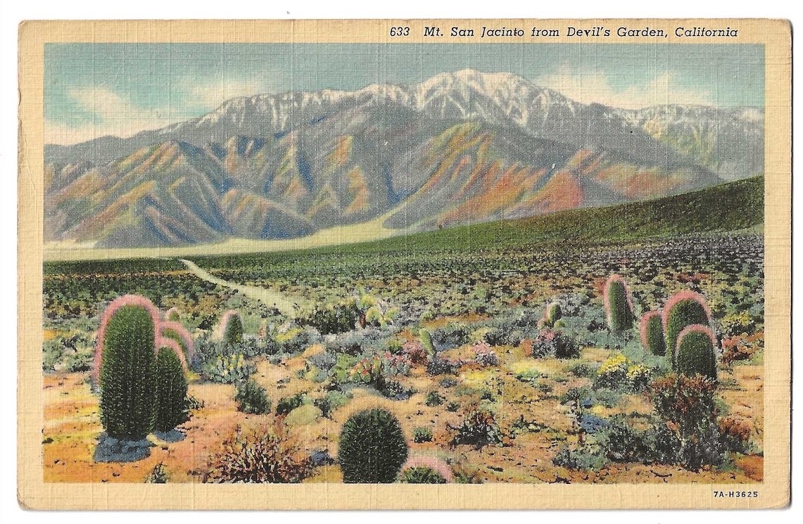 California desert c1930's Mt. San Jacinto from Devil's Garden, barrel cactus