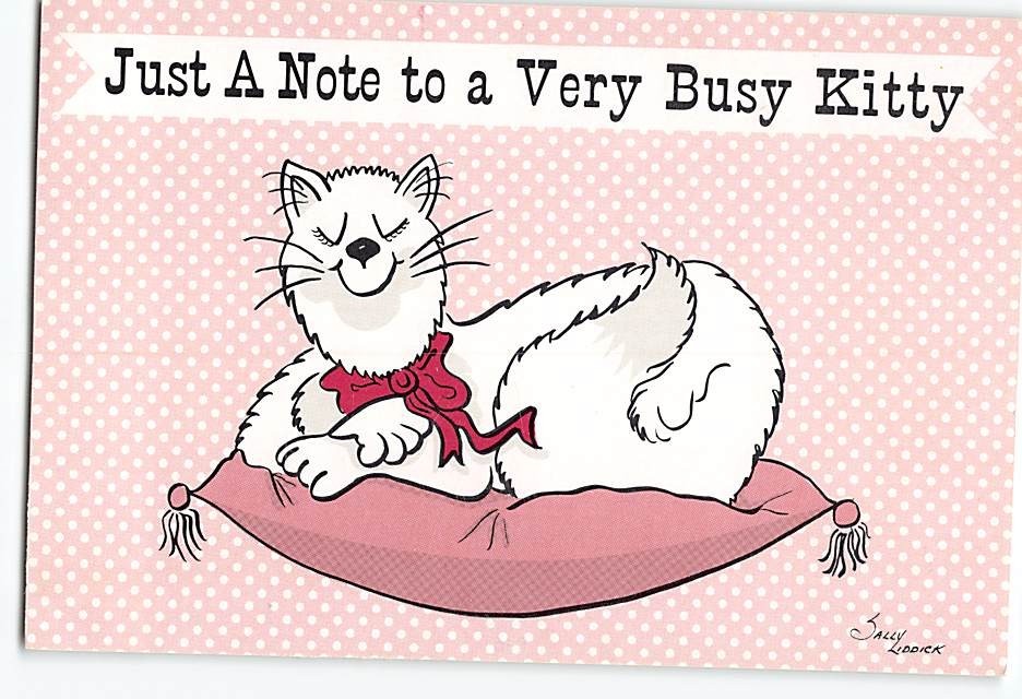 Postcard Just A Note To A Very Busy Kitty