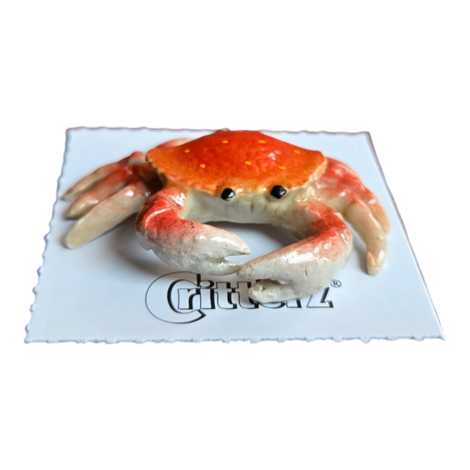 LITTLE CRITTERZ Dungeness Crab \