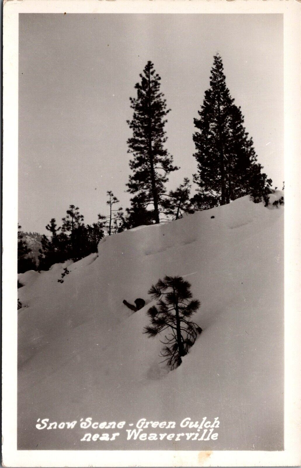 RPPC Weaverville CA Green Gulch Winter Snow Tree c1930-1940s photo postcard IQ18