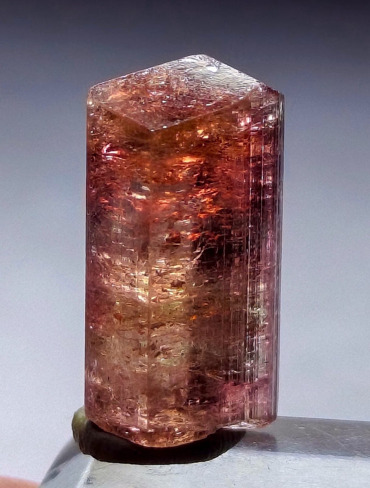 Very Rare Purple Cap Orange Watermelon Tourmaline Crystal Raw Natural Specimen Very Rare Purple Cap Orange Watermelon Tourmaline Crystal Raw Natural Specimen