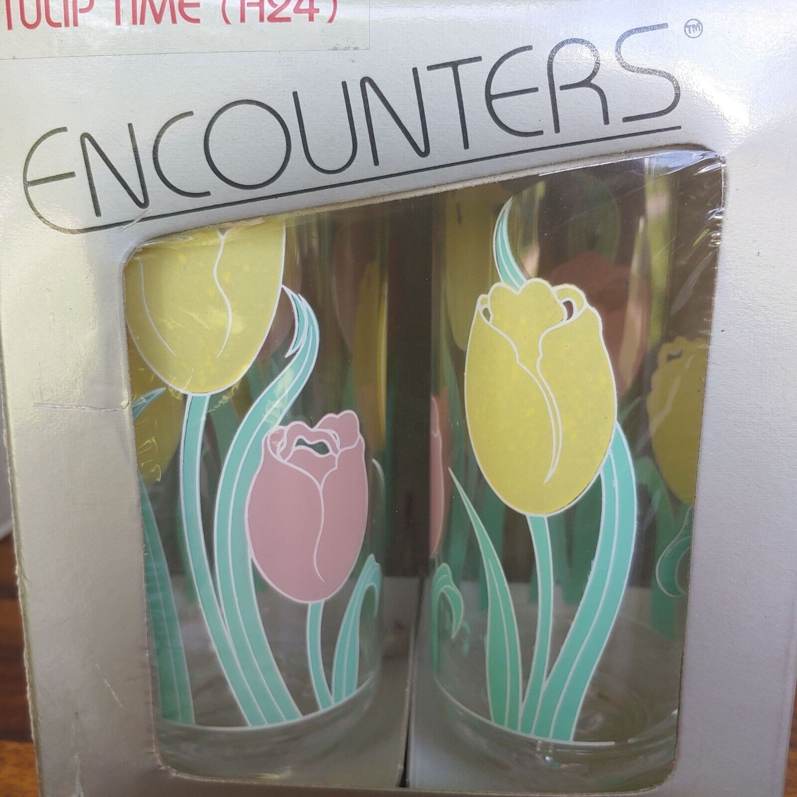 Vintage Culver Encounters Tulip Time Acrylic Pitcher & Ice Tea Glasses New 80\'s
