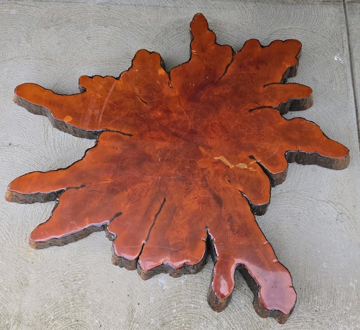 Vintage CYPRESS Slab Red Wood Live Edge Side Lacquered MCM Starburst Wall Art 