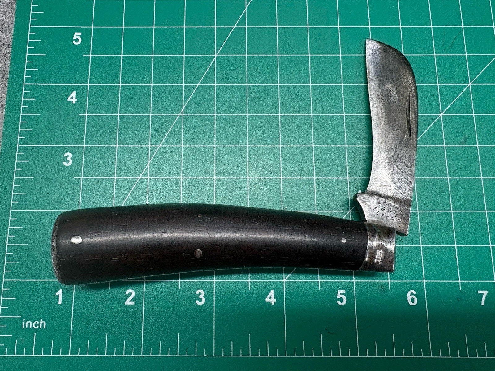 Rare Pratt & Co Buffalo NY Hawkbill 