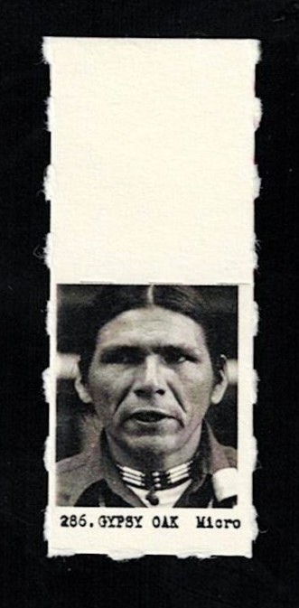 DENNIS BANKS - MICRO ACTIVIST Card W/TAB - OJIBWE ACTIVIST/AUTHOR/EDUCATOR