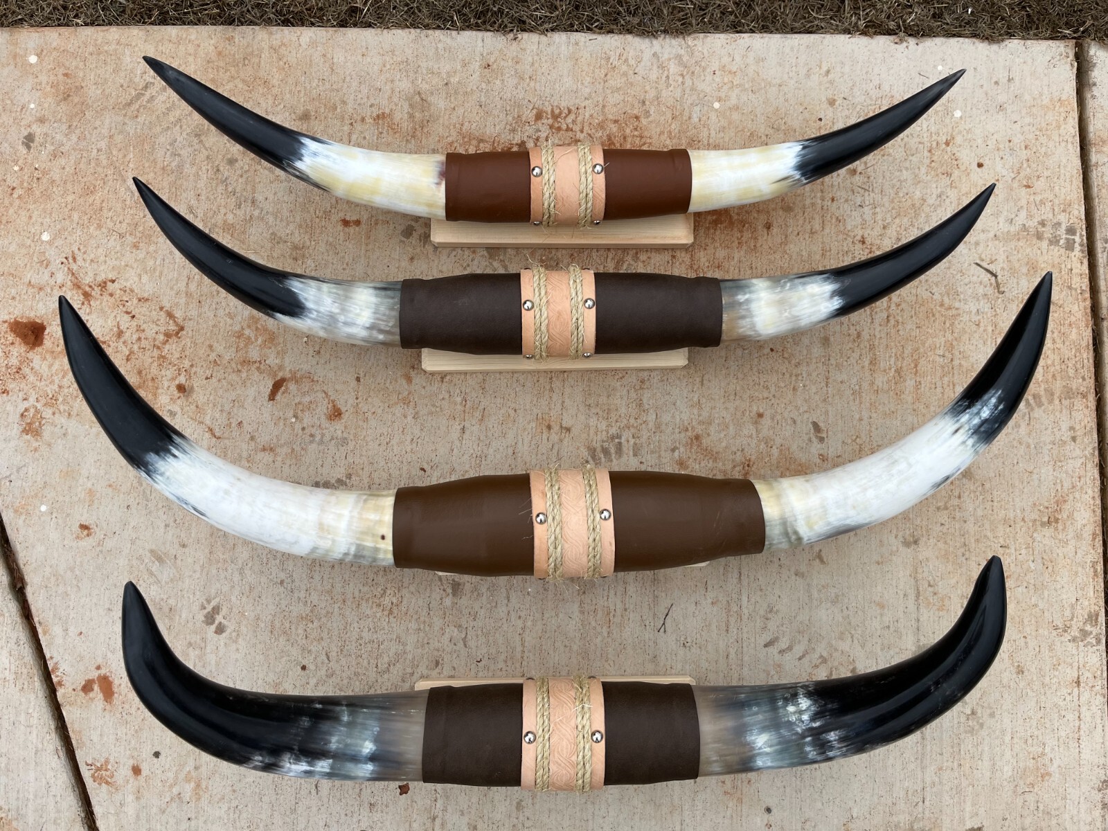MOUNTED STEER HORNS (ONE ONLY) 36\