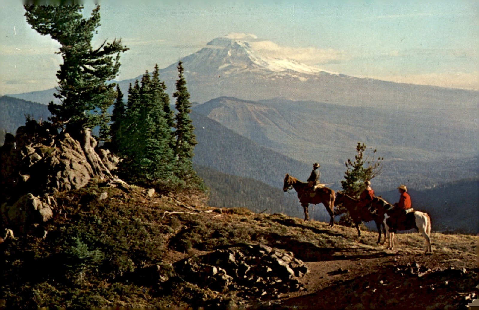Mount Adams, Washington State, 12,307 feet, Ektachrome by Forest and Postcard