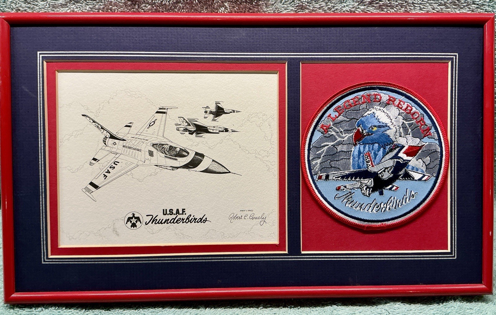 Rare Framed U.S. Air Force THUNDERBIRDS Commemorative Display