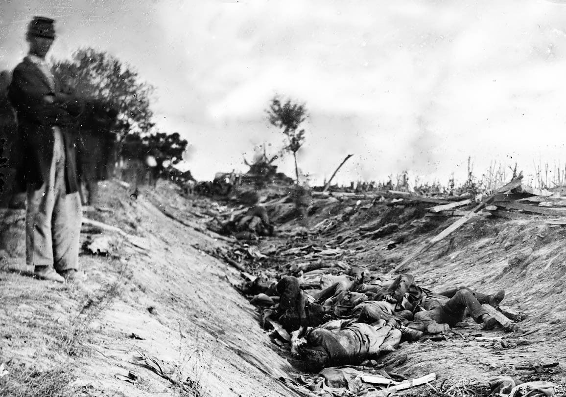 Confederate Dead Bloody Lane Antietam Sharpsburg - 8x10 Civil War Photo