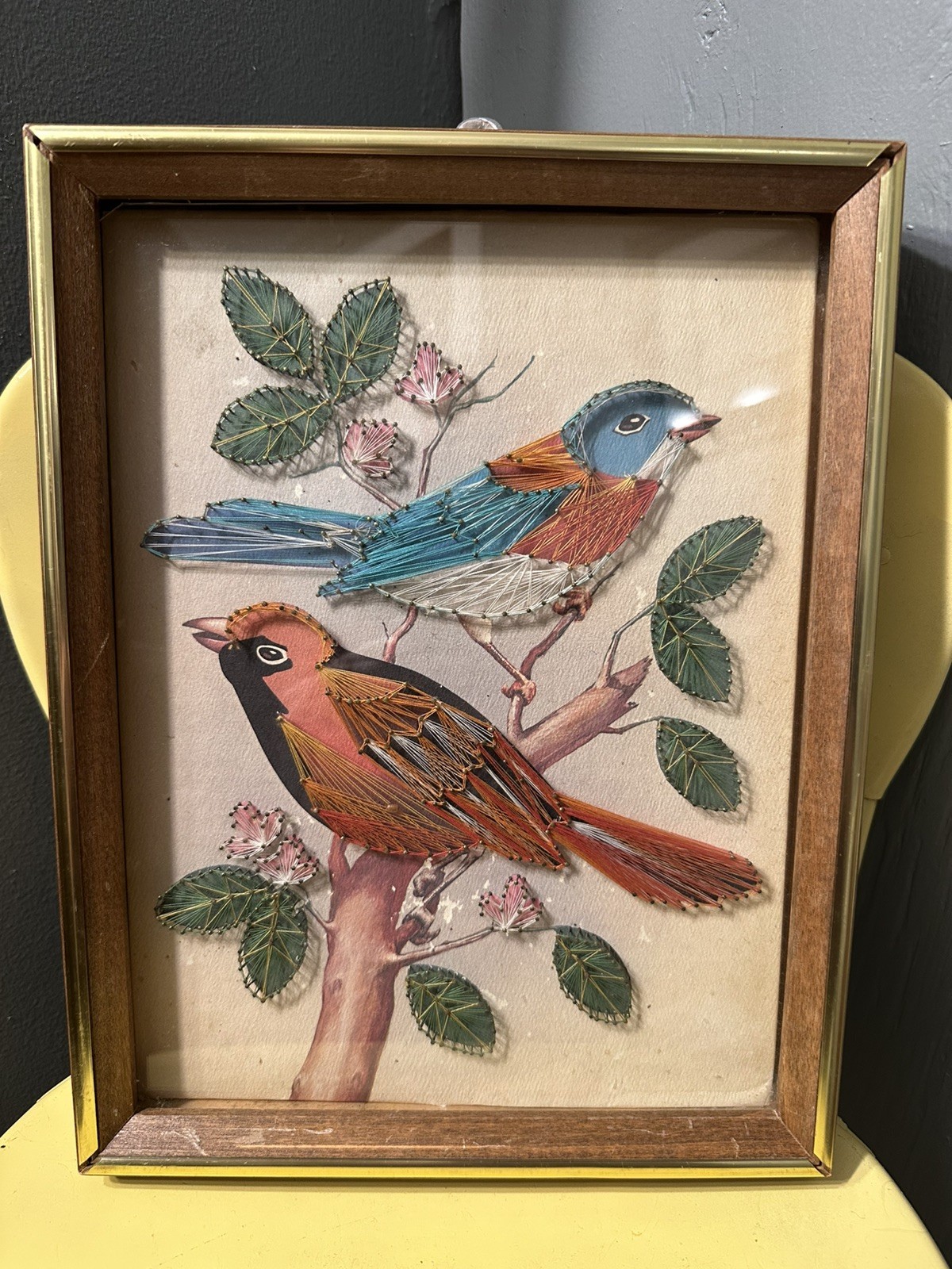 Vintage Bird String Art Cardinal Bluebird Framed Nail Thread Wall Art 13x10
