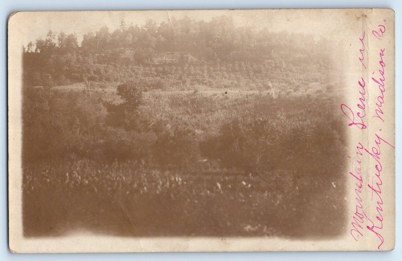 c1910's Mountain Scene In Kentucky Madison County RPPC Photo Antique Postcard