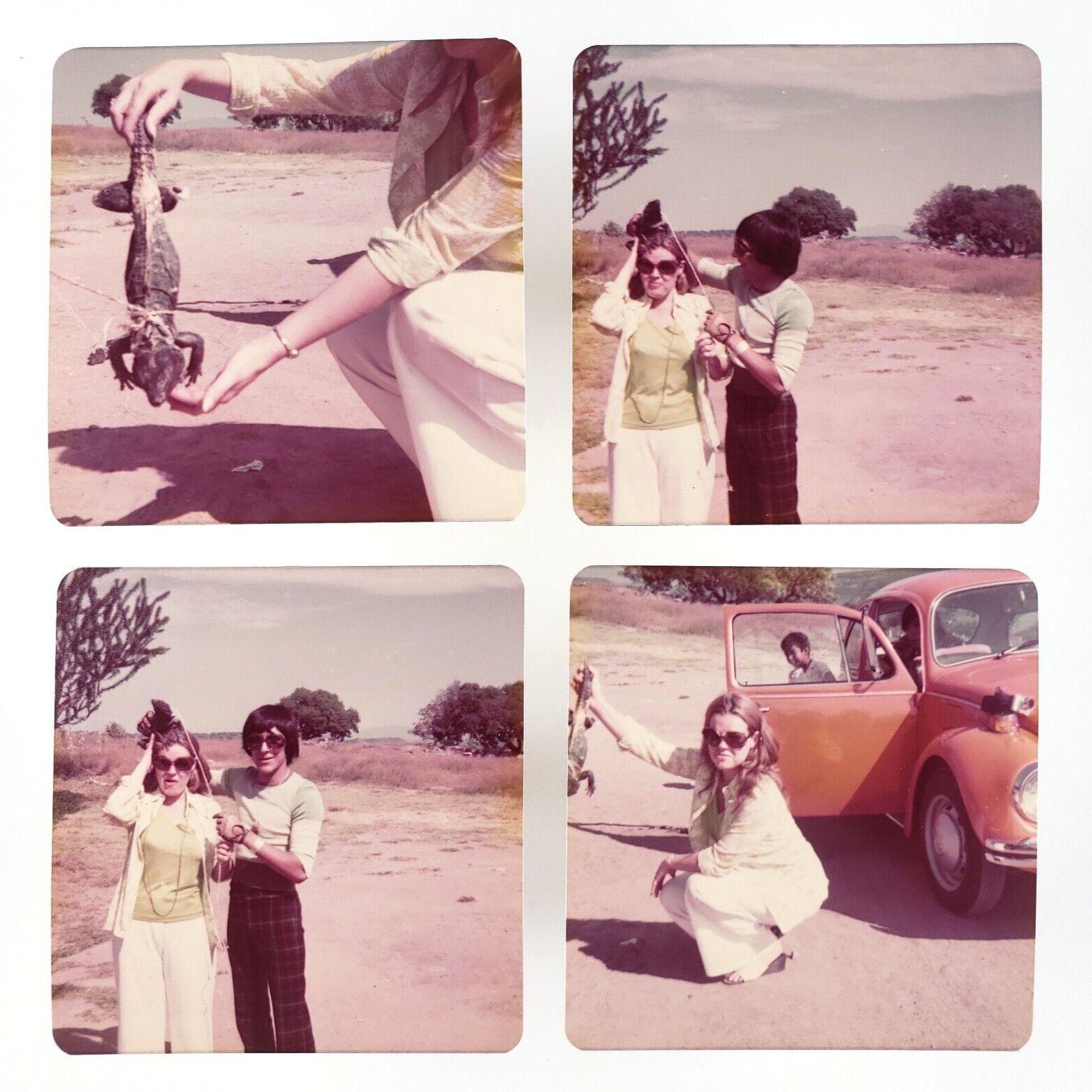 Woman & Desert Lizard Snapshot Set 1970s Vintage Car on Road Trip Photos B3549