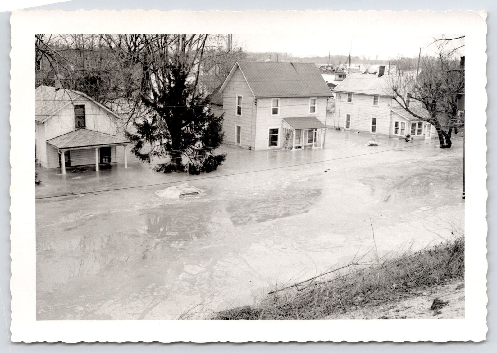Fremont Ohio~Residential Fulton St Neighborhood During Flood~1959 Photograph