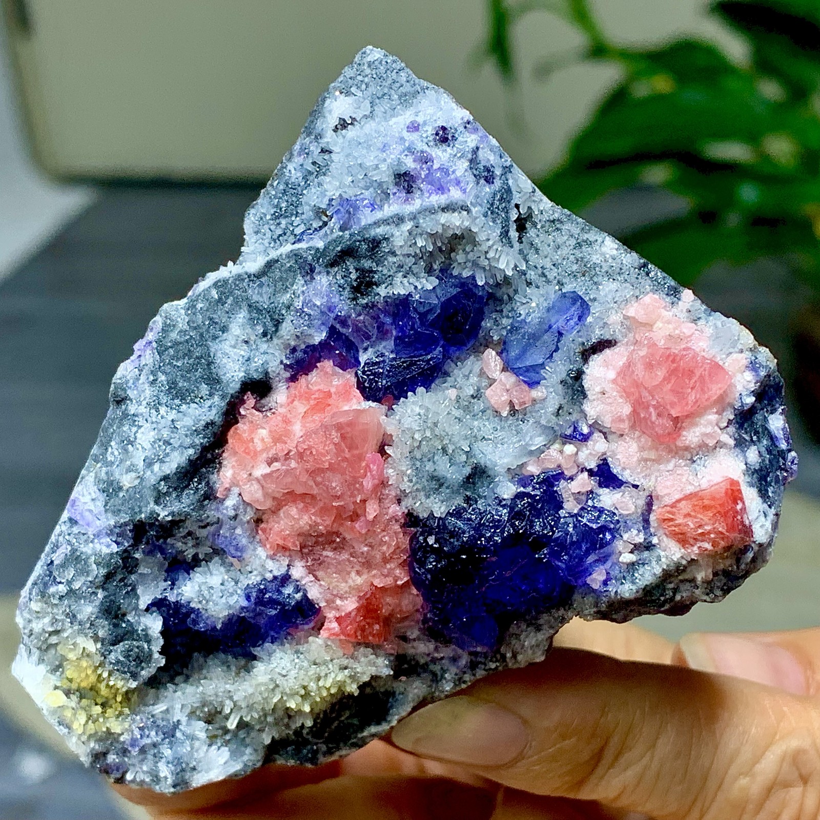 145G Natural rhodochrosite with purple fluorite crystal mineral specimen