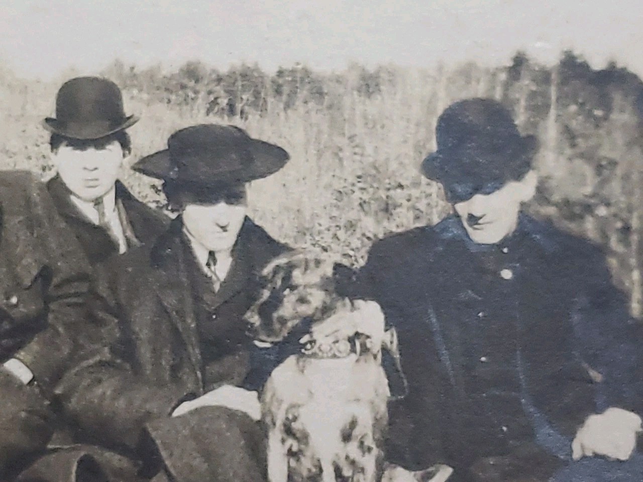 Antique 1900s Art Nouveau Studio Photo Men in Bowler Hats with Dog Outdoor Scene