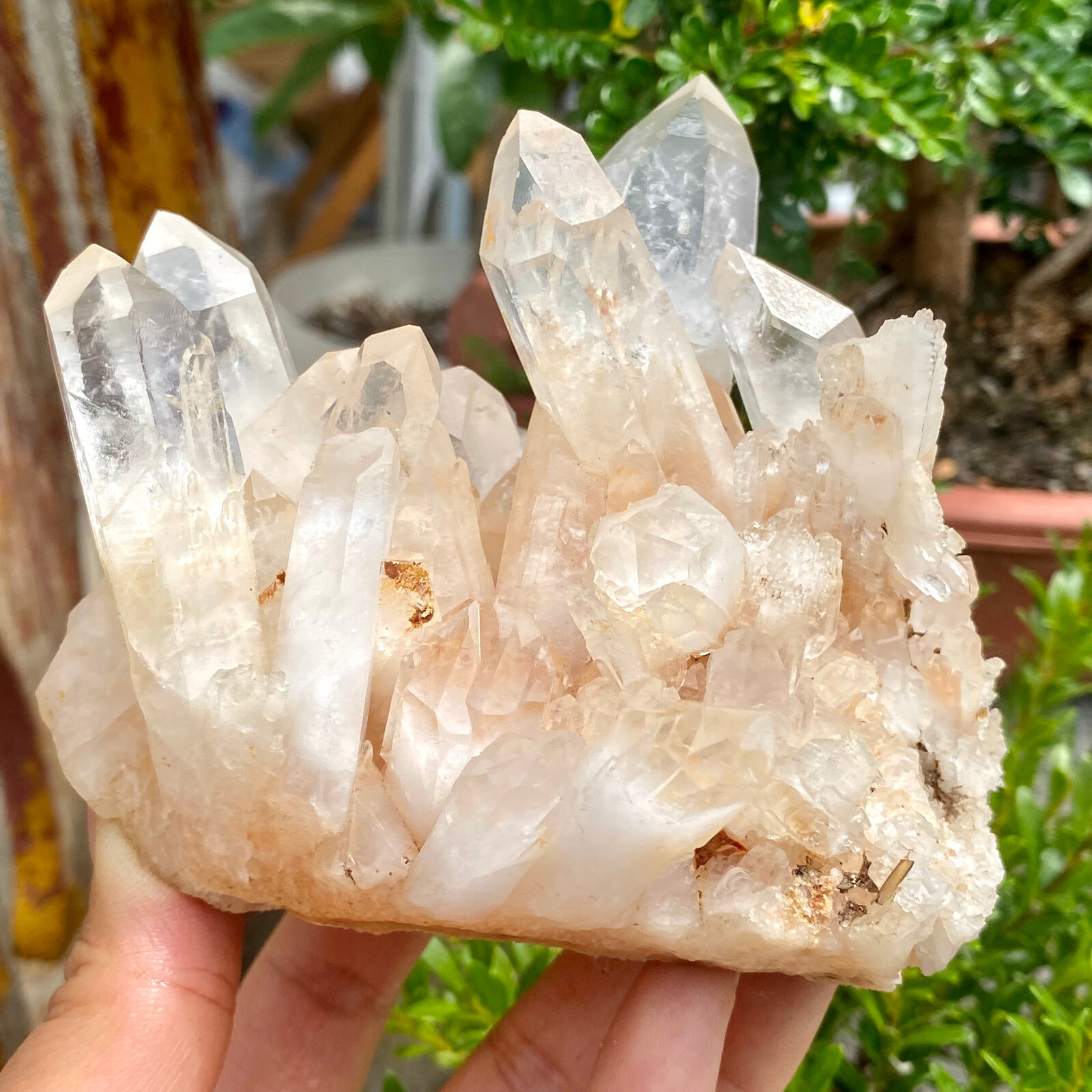 1.26LB  Natural White Clear Quartz Crystal Cluster Rough Healing Specimen.