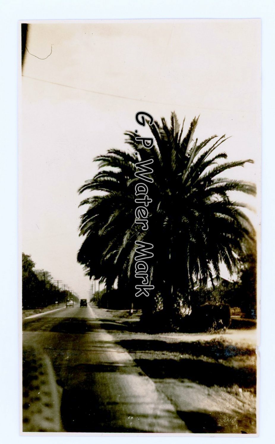 1918 On the road to Riverside California Photograph Ca Photo #1