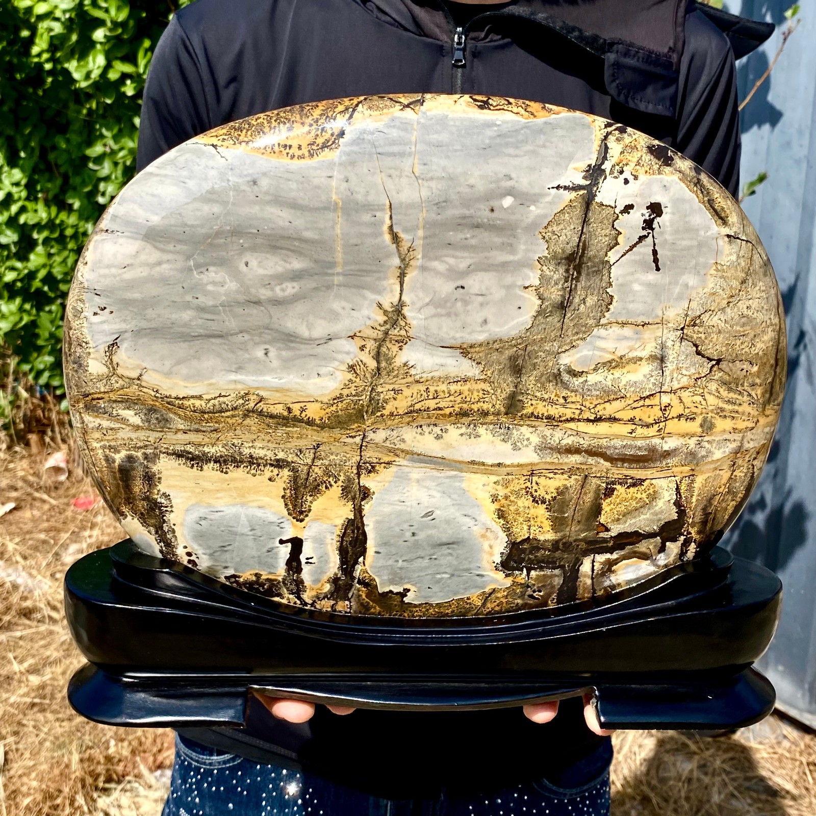 17.83LB Beautiful Natural Chinese Dendritic Limestone Picture Stone Guohua -Rare