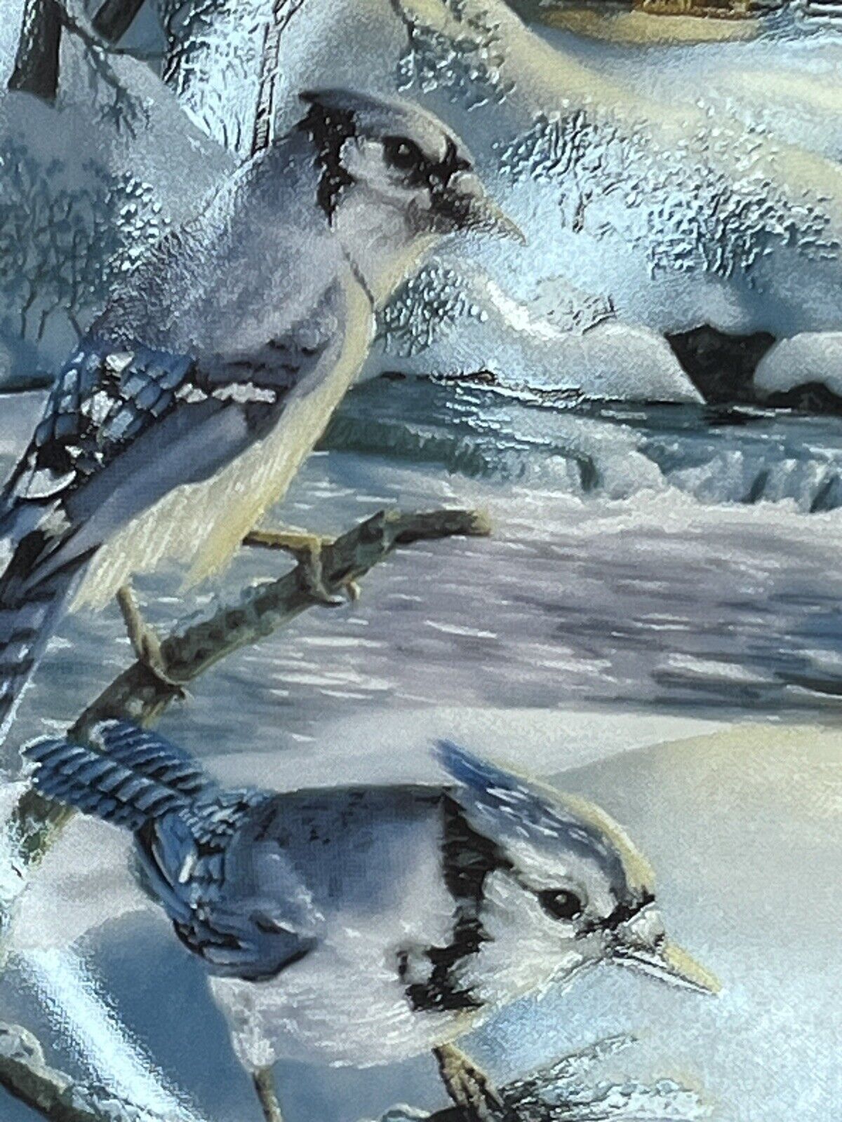 BLUE JAY BIRD PLATE PORCELAIN 8\