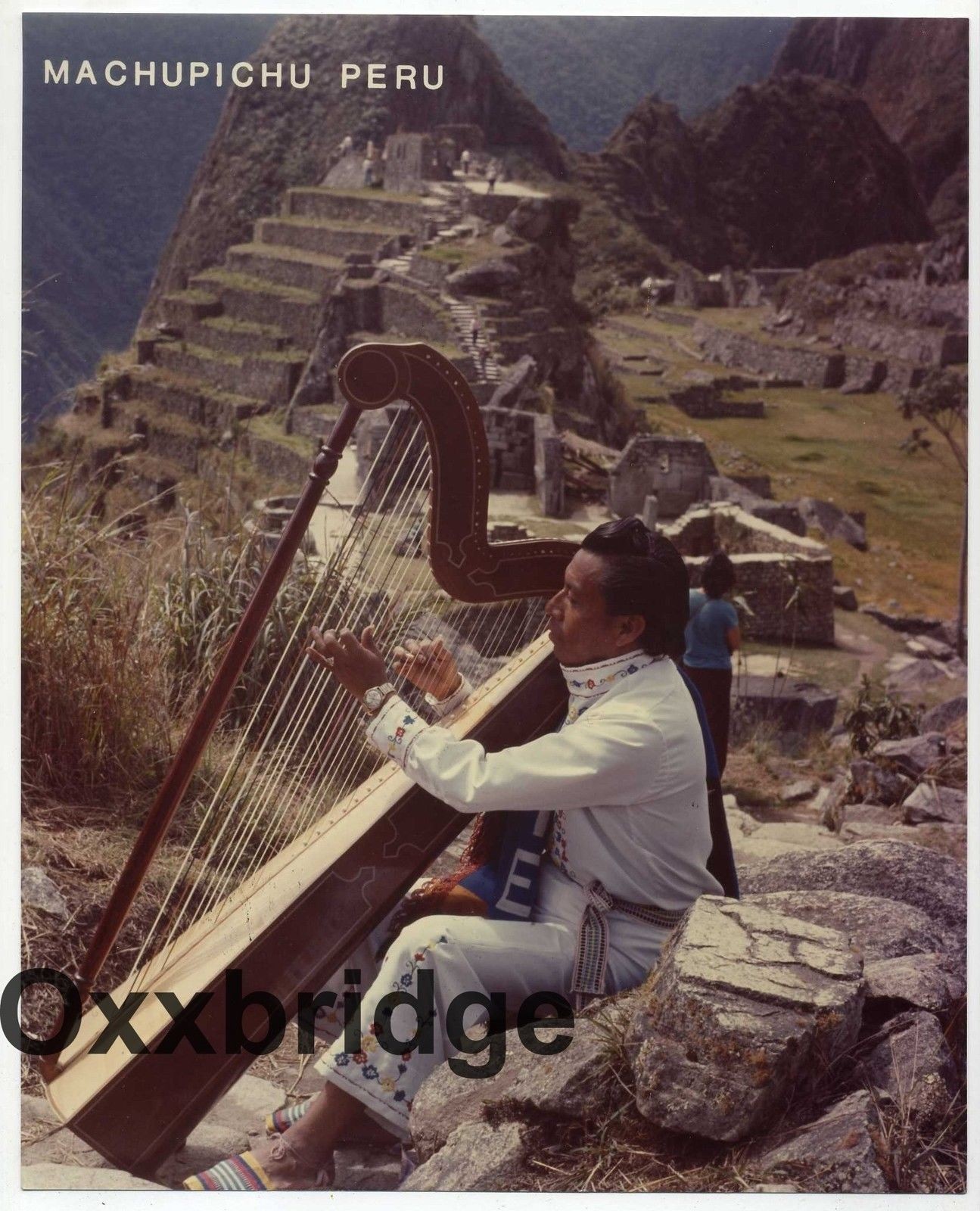 Atahualpa Poalasin Machu Picchu Peru Harpist Harp 1970 PHOTO Peruviuan Music