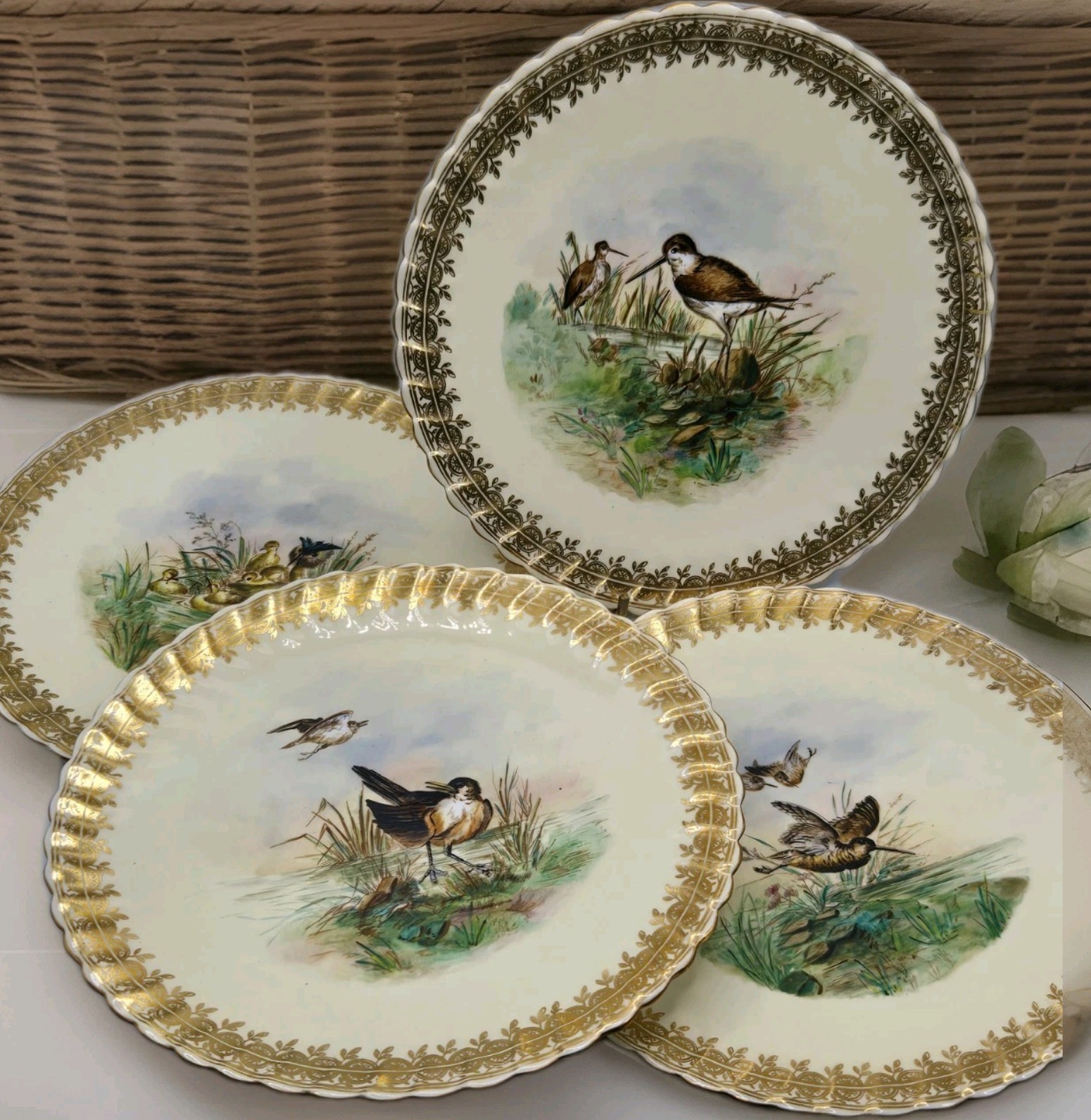 Rare Edwin JD Bodley c. 1875 Hand Painted Gilded S/4 Plates Nature Birds #5/7675