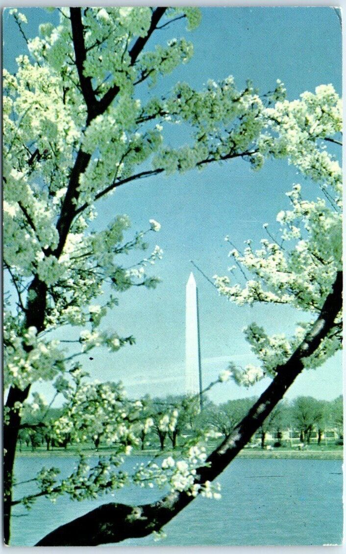 Postcard - The Washington Monument, Washington, D. C.