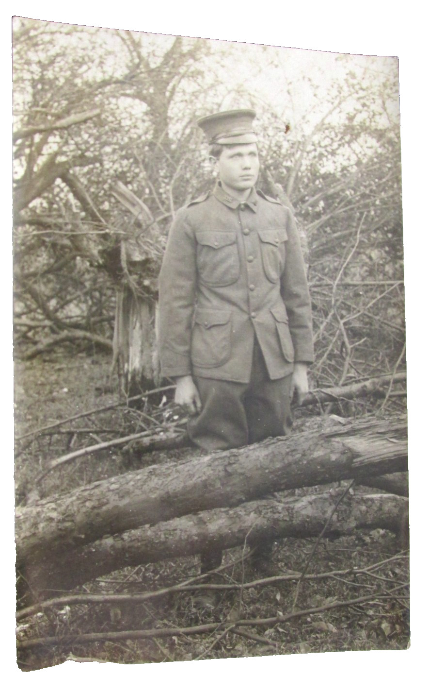 1908-1915 US Soldier In Woods RPPC Real Photo Postcard, Unposted, US UNIFORM 1908-1915 US Soldier In Woods RPPC Real Photo Postcard, Unposted, US UNIFORM